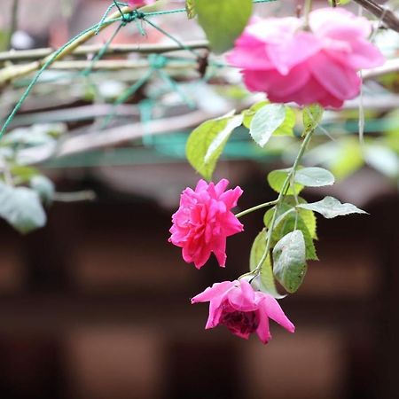 Chicken'S House- Duong Lam Homestay 河内 外观 照片
